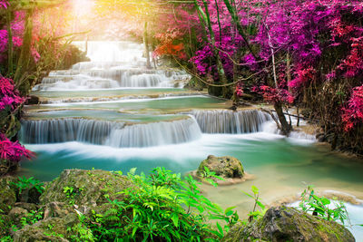 Scenic view of waterfall in forest