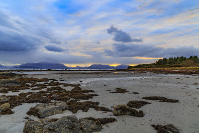 Scenic view of beach against sky during sunset