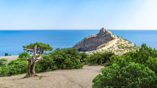 Scenic view of sea against clear sky