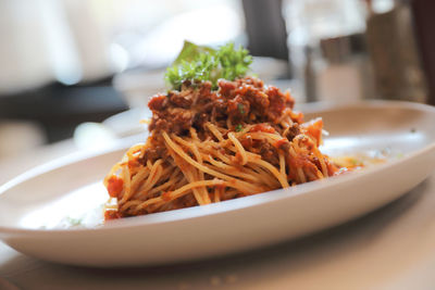 Close-up of noodles served in plate