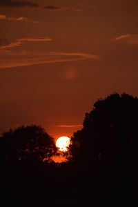 Silhouette trees against orange sky