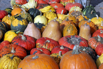 High angle view of pumpkins for sale at market