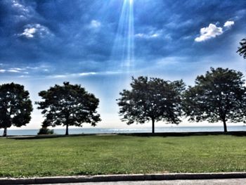 Scenic view of grassy field against sky