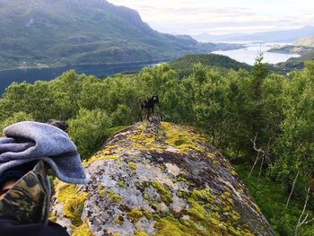 Scenic view of green mountains against sky