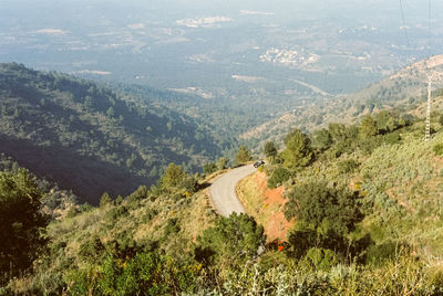 High angle view of trees on landscape