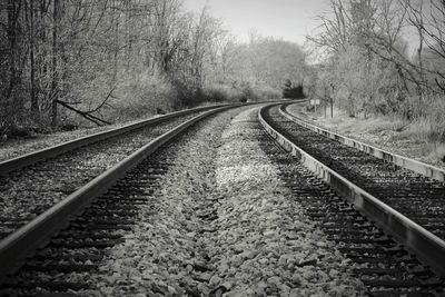 Railway tracks along bare trees