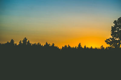 Silhouette trees on landscape against sky at sunset