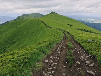 Scenic view of green landscape against sky