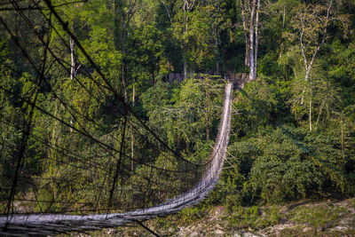 Road amidst trees in forest