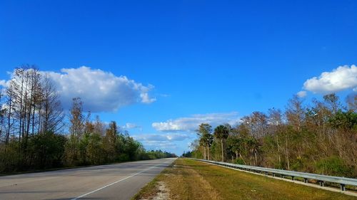 Road by trees against blue sky