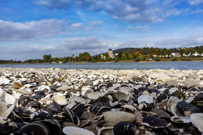 Surface level of beach against sky