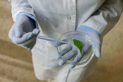 Midsection of scientist holding leaf in petri dish