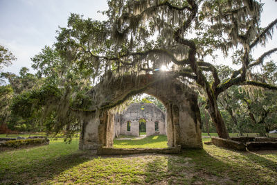 Trees growing in old temple against sky