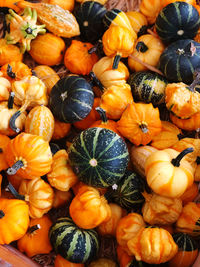 High angle view of pumpkins for sale at market stall