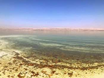 Scenic view of sea against clear sky