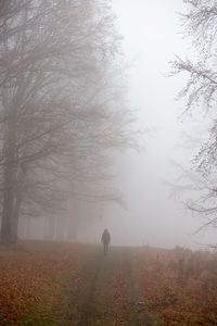 Rear view of man walking on snowy field during foggy weather