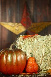 Close-up of pumpkins for sale at market stall