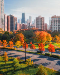 Buildings in park