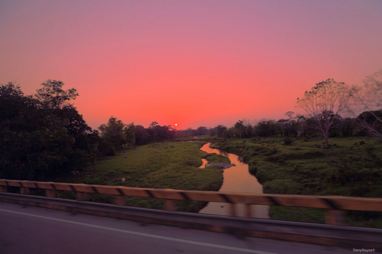 ROAD WITH TREES IN BACKGROUND