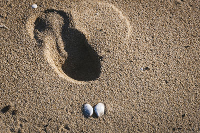 Directly above shot of footprint on sand at beach