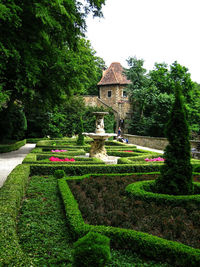 View of trees in garden