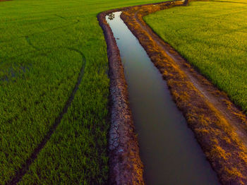 Scenic view of agricultural field