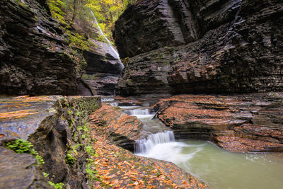 Stream at forest