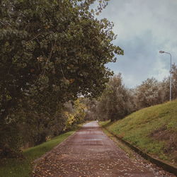 Empty road amidst trees against sky