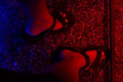 Low section of woman wearing high heels standing at night