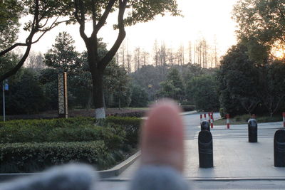 Man walking on street in park