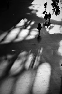 Shadow of man riding bicycle on road