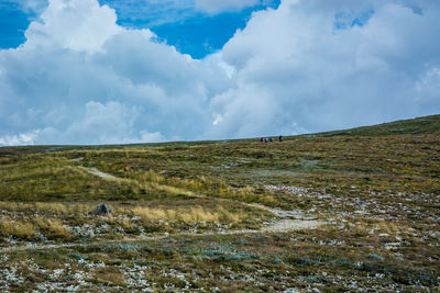 Scenic view of field against sky