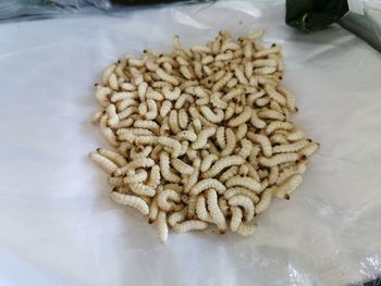 High angle view of bread on table