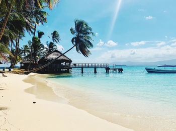 Palm trees on beach against sky