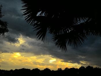 Low angle view of silhouette palm trees against sky during sunset