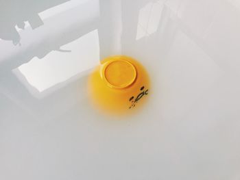 High angle view of insect on white table