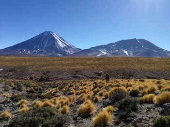 Scenic view of snowcapped mountains against clear sky