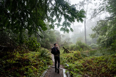 Man with backpack walks pathway through lush greenery in misty forest