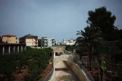 Footpath amidst palm trees and buildings against sky