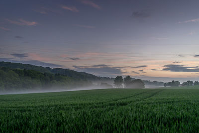 Scenic view of agricultural field against sky during sunset