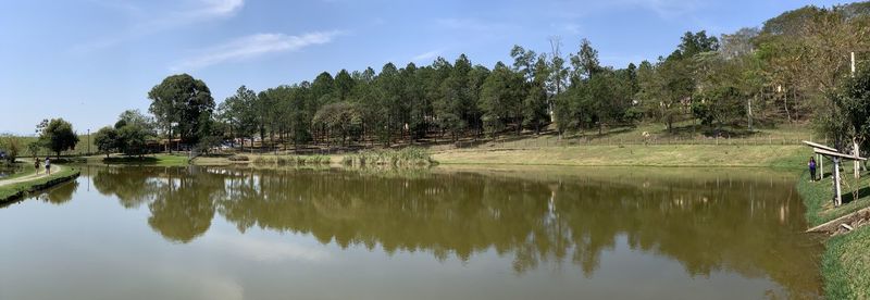 Reflection of trees in lake against sky