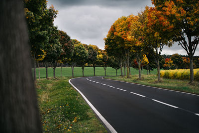 Road by trees against sky