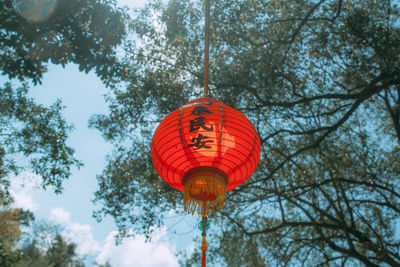 Low angle view of lantern hanging on tree against sky