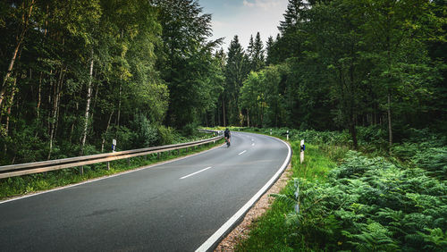 Empty road amidst trees in forest