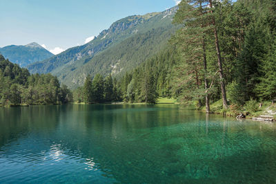 Scenic view of lake by trees against sky