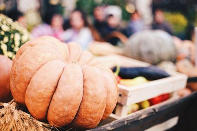 Close-up of pumpkins in market