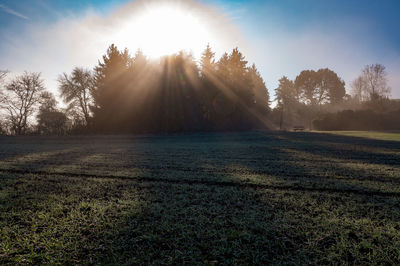 Sunlight streaming through trees on field against sky