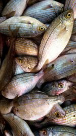 Full frame shot of fish for sale in market