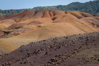 Scenic view of landscape