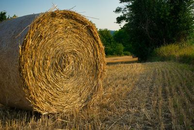 Hay bales on field against sky